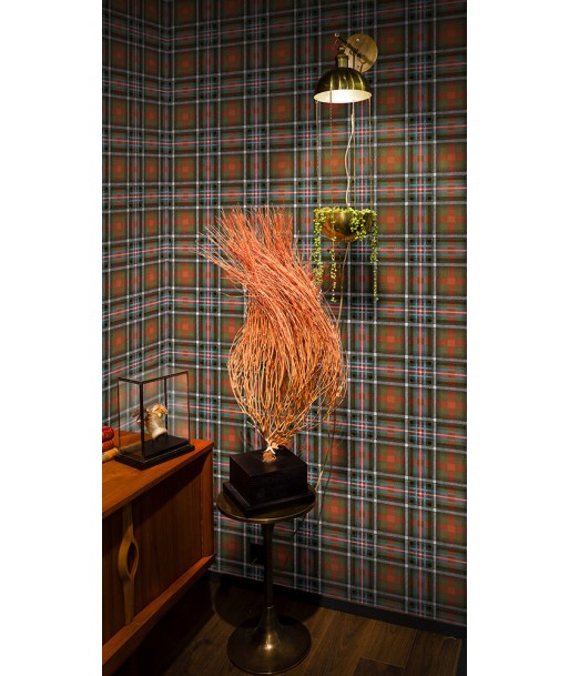 Papier peint tartan - Queen of Punk - Objet de Curiosité Découvrez la collection