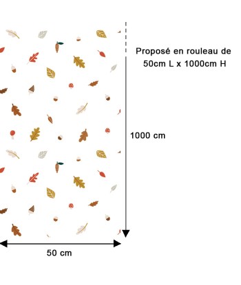 Papier Peint Feuilles d'Automne Eparses Comment ça marche