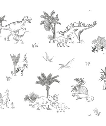 Papier Peint Monochrome Dinosaures le concept de la Pate a emporter 