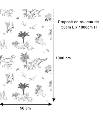 Papier Peint Monochrome Dinosaures le concept de la Pate a emporter 