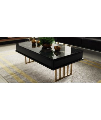 Table basse bois et métal Monaco Noir / Or, L120xl70xH44 cm la livraison gratuite