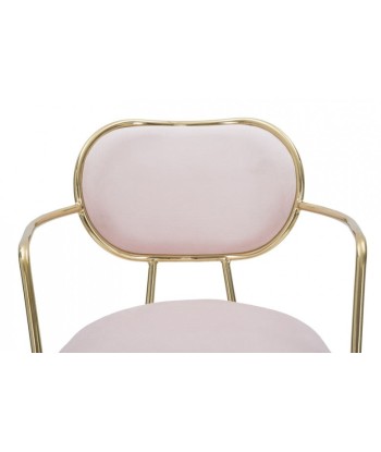 Lot de 2 chaises rembourrées en tissu, avec pieds en métal Velours Fin Rose/Or, l54xA57xH76 cm le des métaux précieux