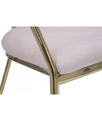 Lot de 2 chaises rembourrées en tissu, avec pieds en métal Velours Fin Rose/Or, l54xA57xH76 cm le des métaux précieux