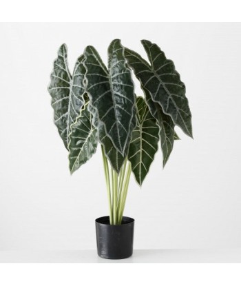 Plante artificielle en pot Flèche Feuille Verte / Noire, H71 cm solde