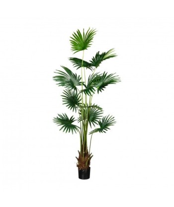 Plante artificielle en pot, Fan Palm Vert, H180 cm la colonne vertébrale