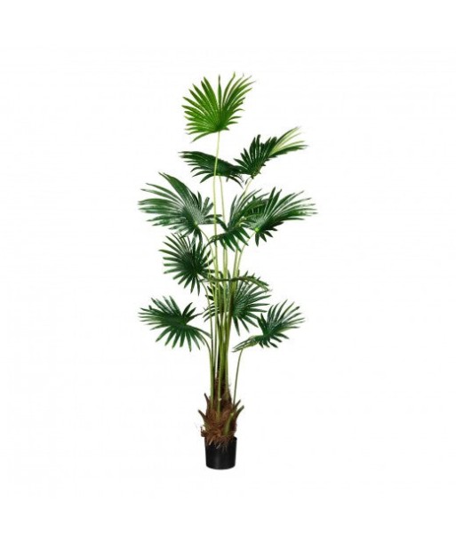 Plante artificielle en pot, Fan Palm Vert, H180 cm la colonne vertébrale