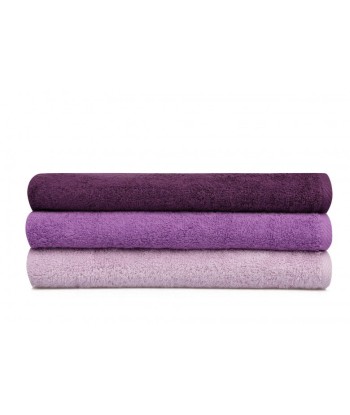 Lot de 3 serviettes de bain en coton, Beverly Hills Polo Club 402 Lilas / Violet / Violet, 70 x 140 cm sur le site 