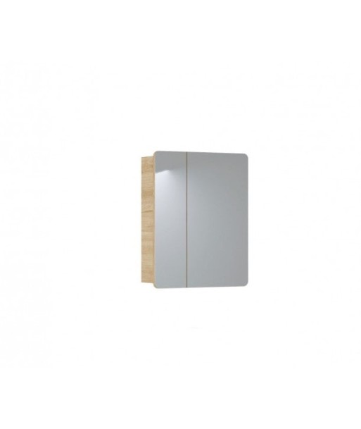 Meuble de salle de bain suspendu avec 2 portes et miroir, Aruba, l60xA16xH75 cm Comparez et commandez 