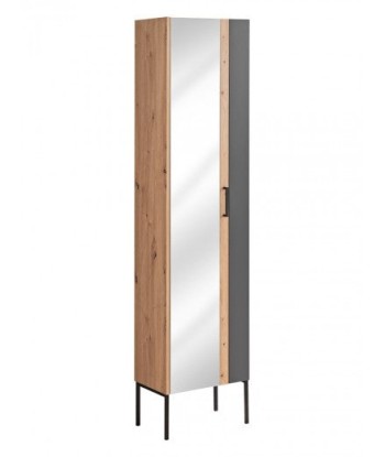 Meuble de salle de bain haut, avec miroir, 1 porte, pieds métal, Bois Graphite / Chêne, l45xA30xH170 cm hantent personnes