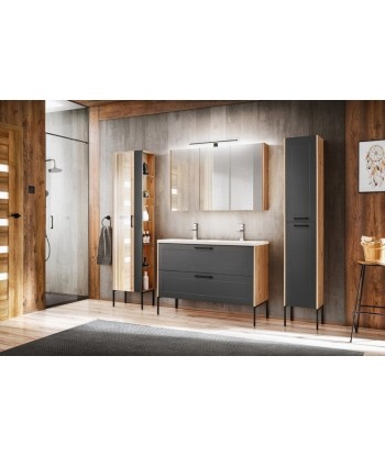 Meuble de salle de bain haut, avec miroir, 1 porte, pieds métal, Bois Graphite / Chêne, l45xA30xH170 cm hantent personnes