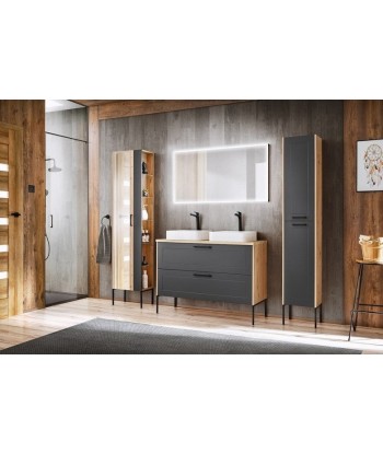 Meuble de salle de bain haut, avec miroir, 1 porte, pieds métal, Bois Graphite / Chêne, l45xA30xH170 cm hantent personnes