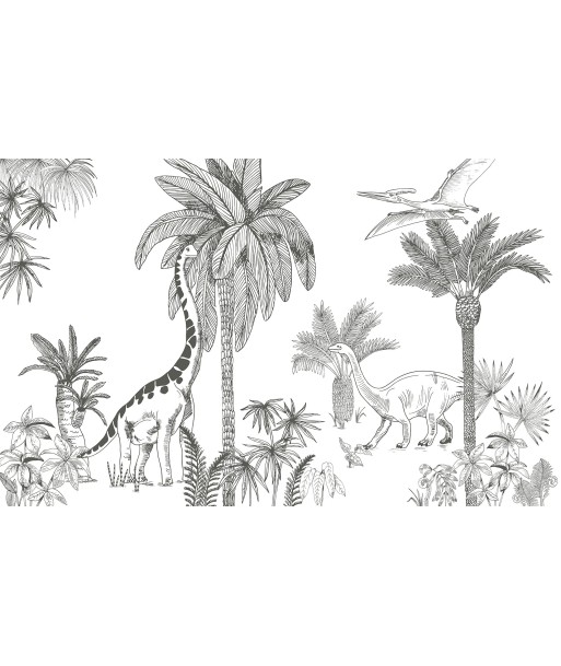 Décor de 4m x 2,48m - Papier peint dinosaure EPOCH en ligne