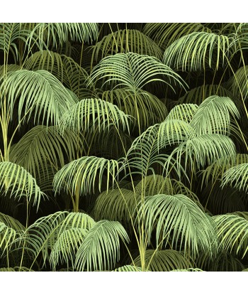 Papier peint Palms Valley france