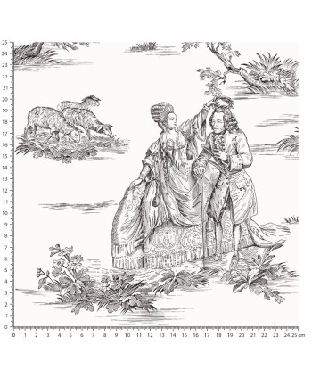 Papier peint Toile de Jouy – Voltaire français