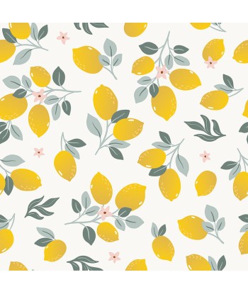 Papier peint nature - Lemons ou a consommer sur place