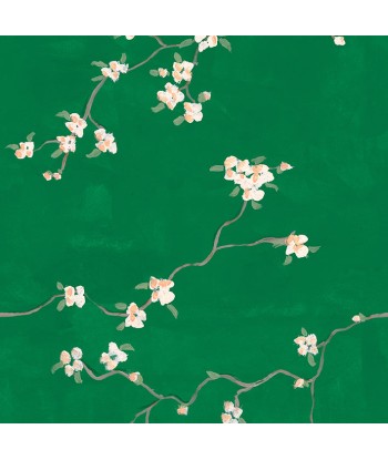 Papier peint Cherry Blossoms Vous souhaitez 