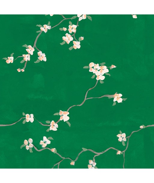 Papier peint Cherry Blossoms Vous souhaitez 